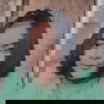 Phimonkot Namsanthia profile icon