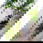 Delimaadel Defan profile icon