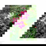 Melly Triana profile icon