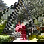 Noviandra Sausan profile icon