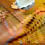 Samrotul Paridah profile icon