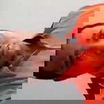 eko mulyono profile icon