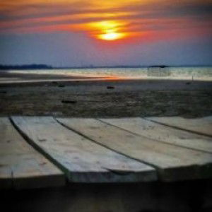 Irma dwilestari profile icon