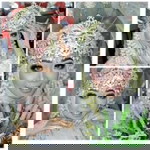 Yuli Susanti profile icon