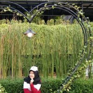 Alfa Fauziah Siva profile icon