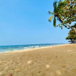 Phannipha Lengkrathok profile icon