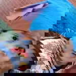 Anna Marie Verdadero Torres-Tabale profile icon