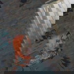 Nia Al-taufiq profile icon