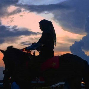 Dwi Wulansari profile icon