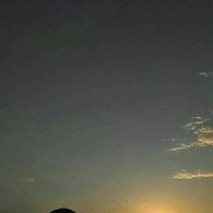 Sulas Tika profile icon