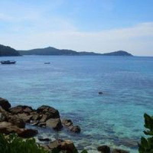 Zanariah Zailani profile icon