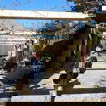 syiham rosli profile icon