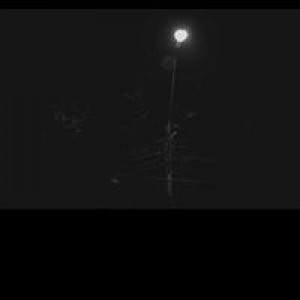 Mareena A'rwae profile icon