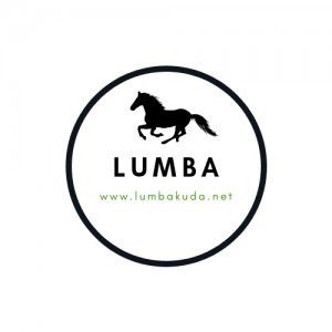 Lumba profile icon