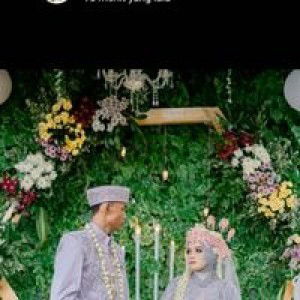 Tyka Sari profile icon