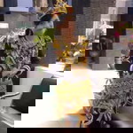 Ephyvania Arlita Raya profile icon