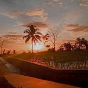 Shifa Nurul Aulia profile icon