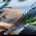 Kriszel Mallari Marasigan profile icon