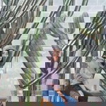 Pimporn Niamthong profile icon