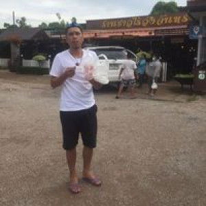 Ton Pajingkas profile icon