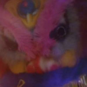 Samsi Hanis profile icon