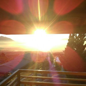 amalia lia profile icon