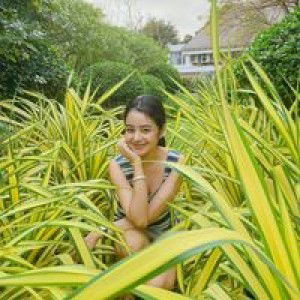 Yachita Tanyataweekorn profile icon