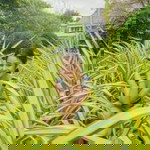 Yachita Tanyataweekorn profile icon