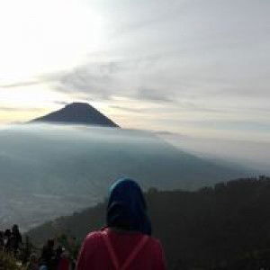 Surby Celalu Ada profile icon