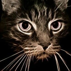 Fartini Official profile icon