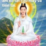 Bui Hoa profile icon