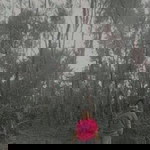 Cathyrine Cathyrine profile icon