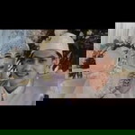 VRaahman profile icon