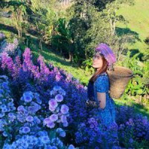 Wanwisa Pookinghin profile icon