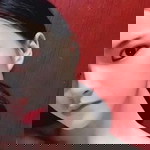 Prim Ariya profile icon