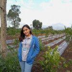 Vita Dwi profile icon