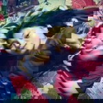 Yurica Dama profile icon