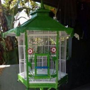 Umi Salamah profile icon