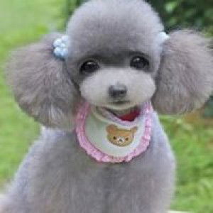 เจ้า ช่อมาลี profile icon