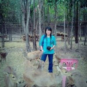 Kanok Wan profile icon