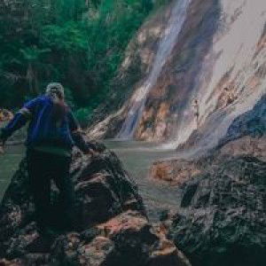 Bow Bow profile icon