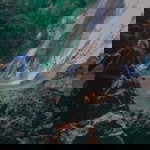 Bow Bow profile icon