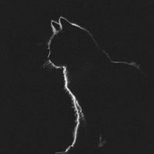 Al Faqirah profile icon