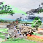 Cinok Cazanova profile icon