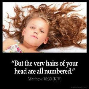 Sky Flower profile icon