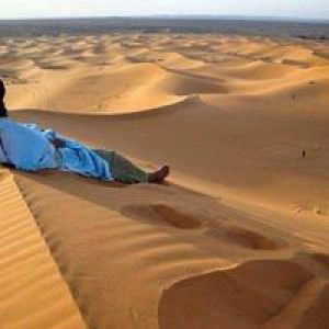 Muhammad Abdul Karim profile icon