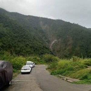 Zhein Rouie profile icon