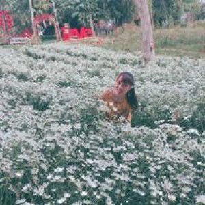 Phương Thảo profile icon