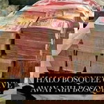 Febri Febri profile icon