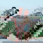 Jattarin Thongjan profile icon